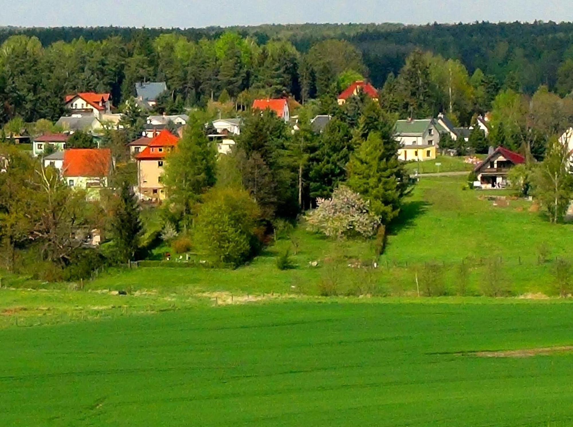 Ferienwohnung Deutschmann Dahlen Extérieur photo