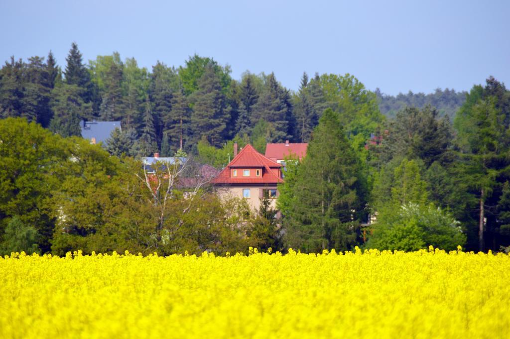 Ferienwohnung Deutschmann Dahlen Chambre photo